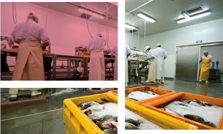 Diseño-imagenes-para-web refrigeracion-industrial-ako