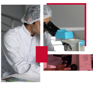 refrigeracion-farmaci refrigeracion-farmaci