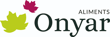 logo fundacio onyar