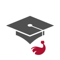 estudiantes estudiantes