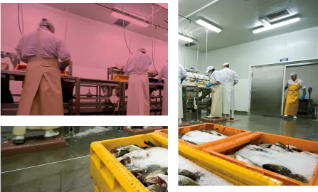 Diseño-imagenes-para-web refrigeracion-industrial-ako