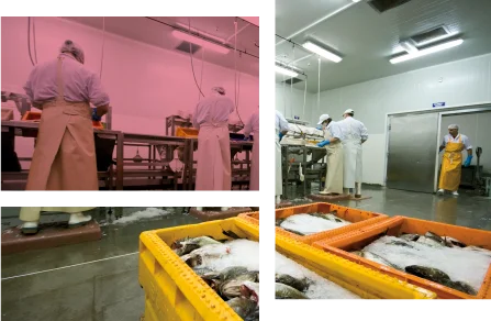 industria-alimentaria